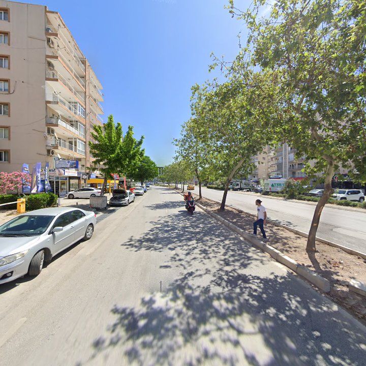 Fotoğraf 7