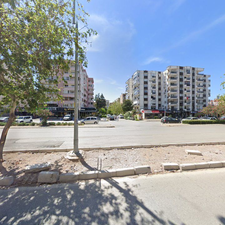 Fotoğraf 8