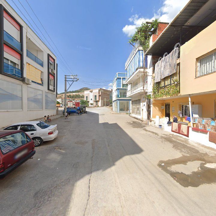 Fotoğraf 11