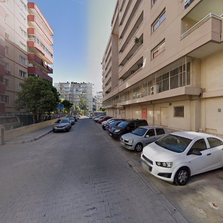 Fotoğraf 12