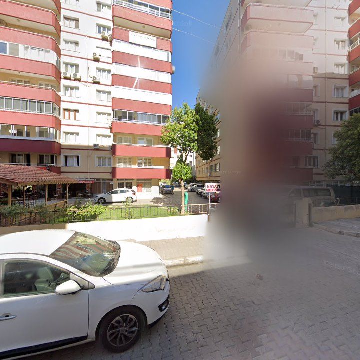 Fotoğraf 11