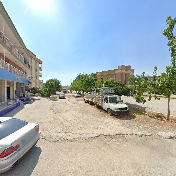 Fotoğraf 6