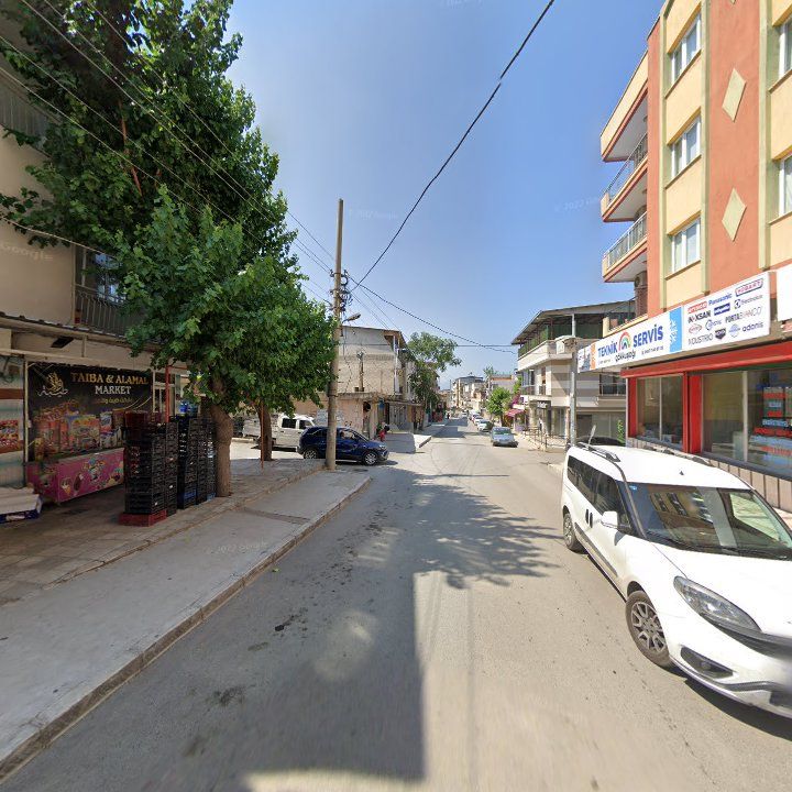 Fotoğraf 4