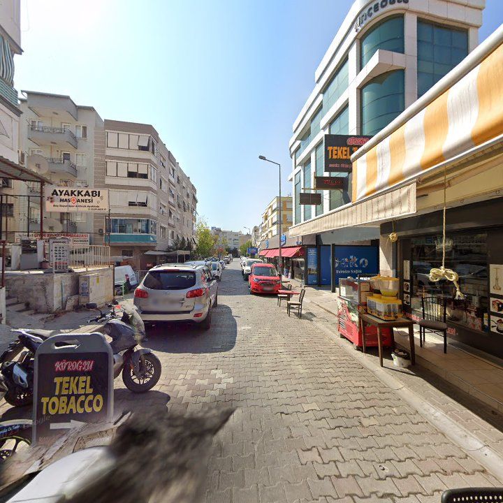 Fotoğraf 8