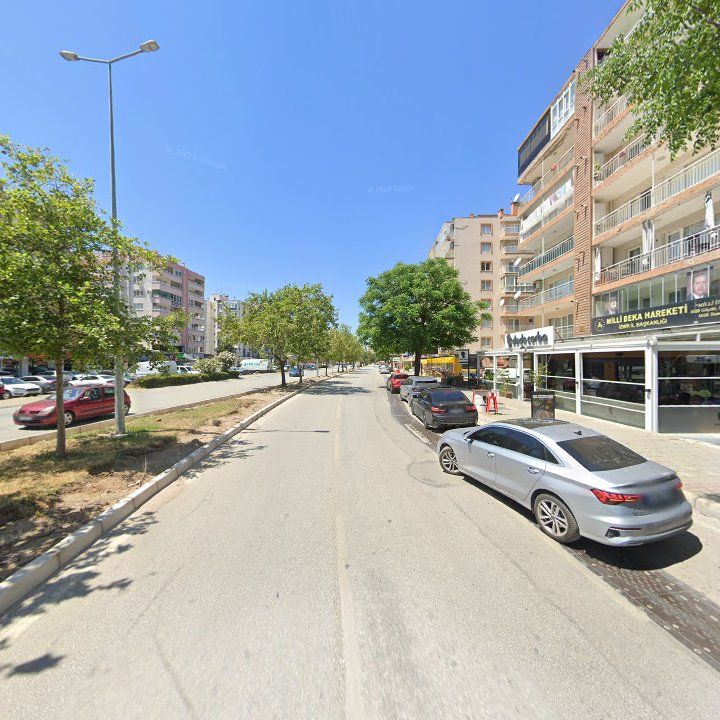 Fotoğraf 11