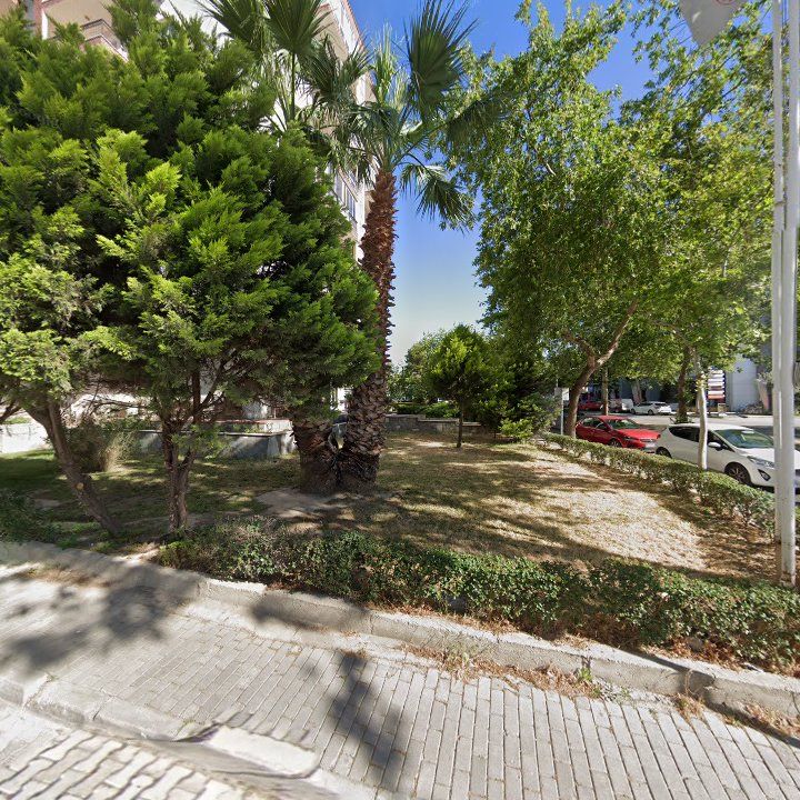 Fotoğraf 8