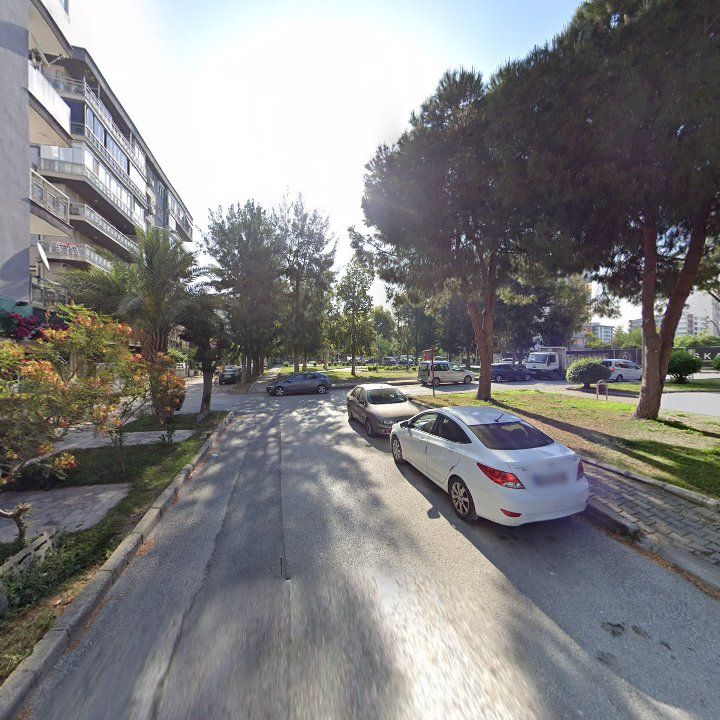 Fotoğraf 7