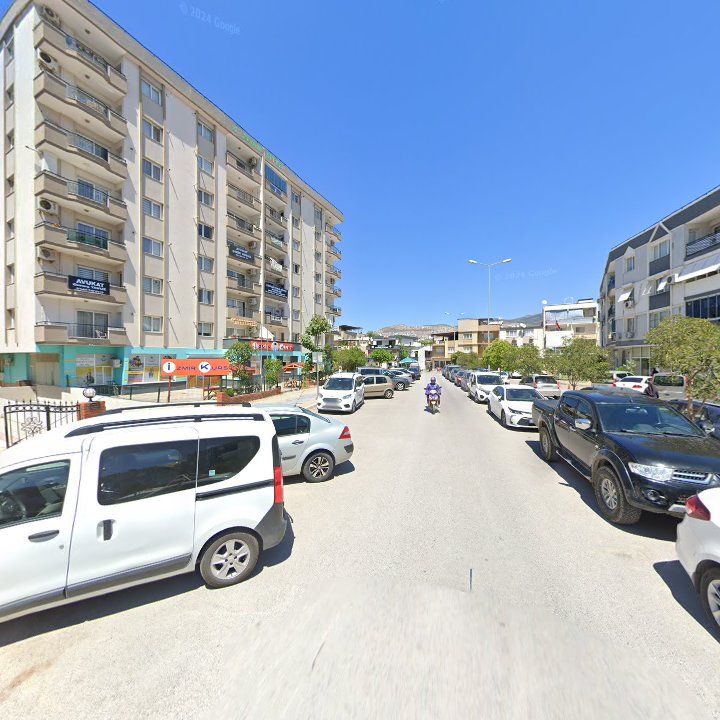Fotoğraf 9