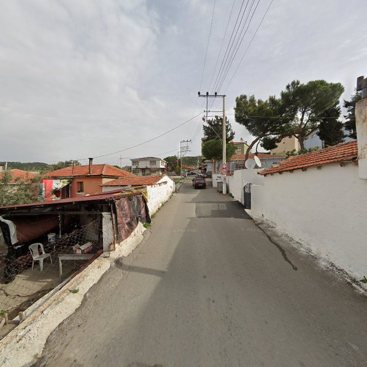 Fotoğraf 6