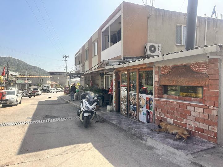 Fotoğraf 4