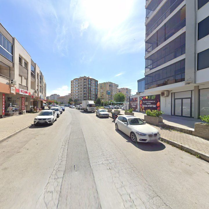 Fotoğraf 10