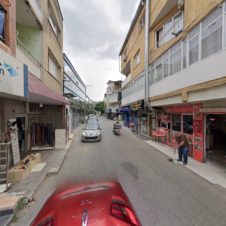 Fotoğraf 9