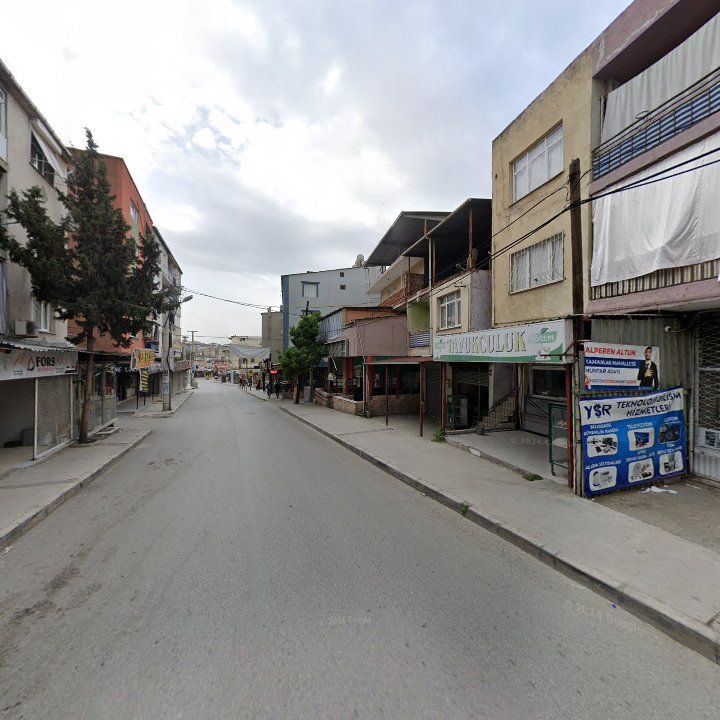 Fotoğraf 7