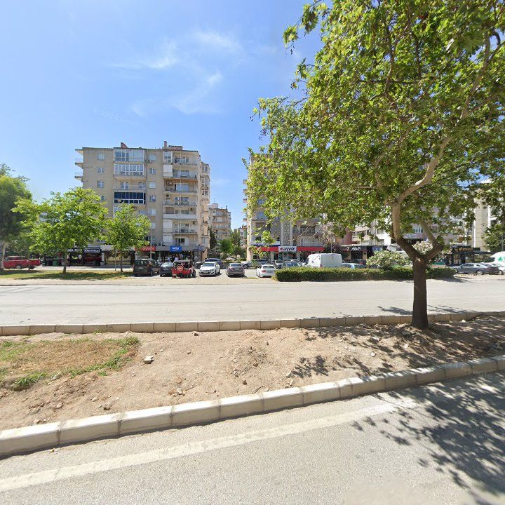 Fotoğraf 14