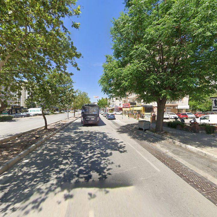 Fotoğraf 15