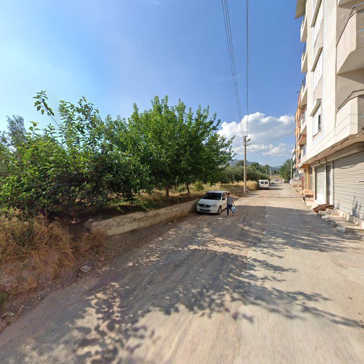 Fotoğraf 5