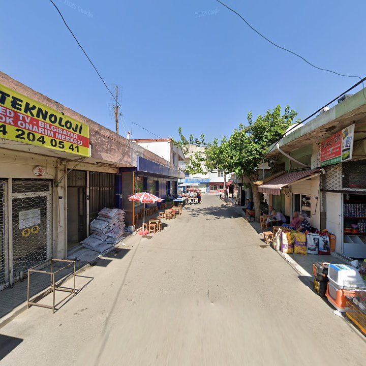 Fotoğraf 3