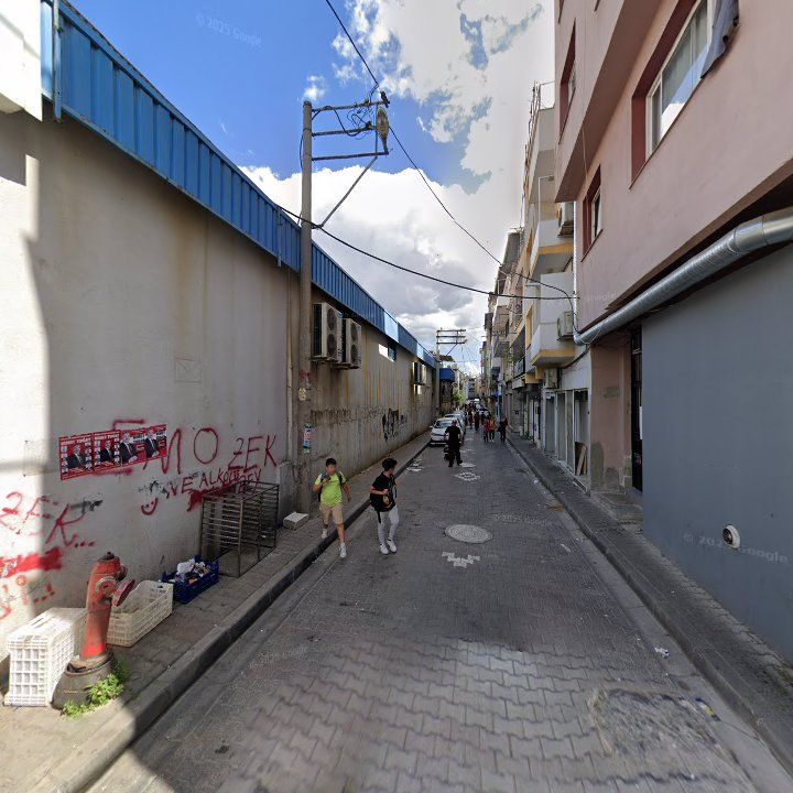 Fotoğraf 8