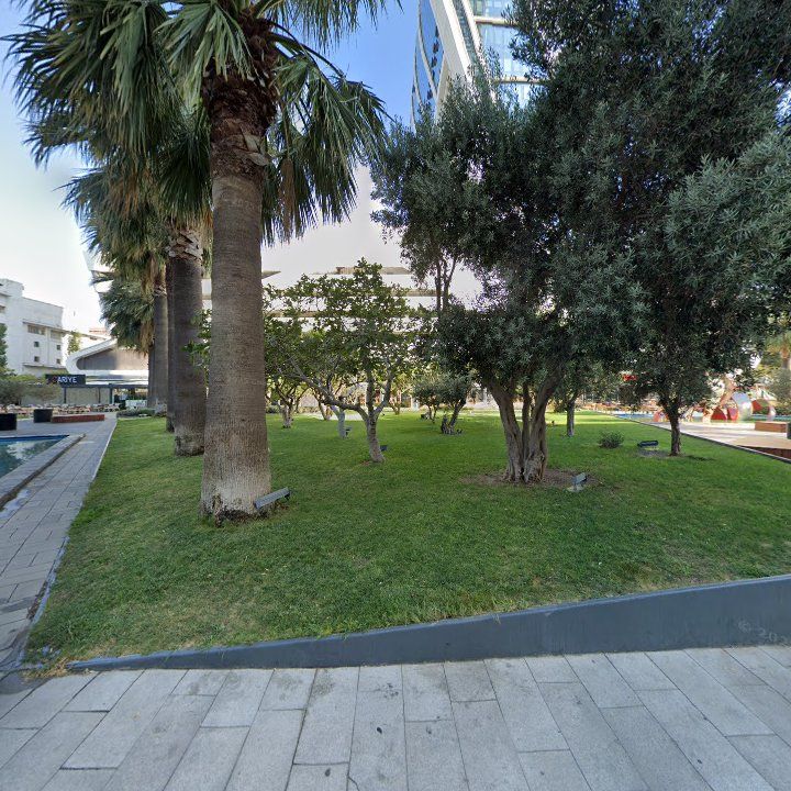 Fotoğraf 8