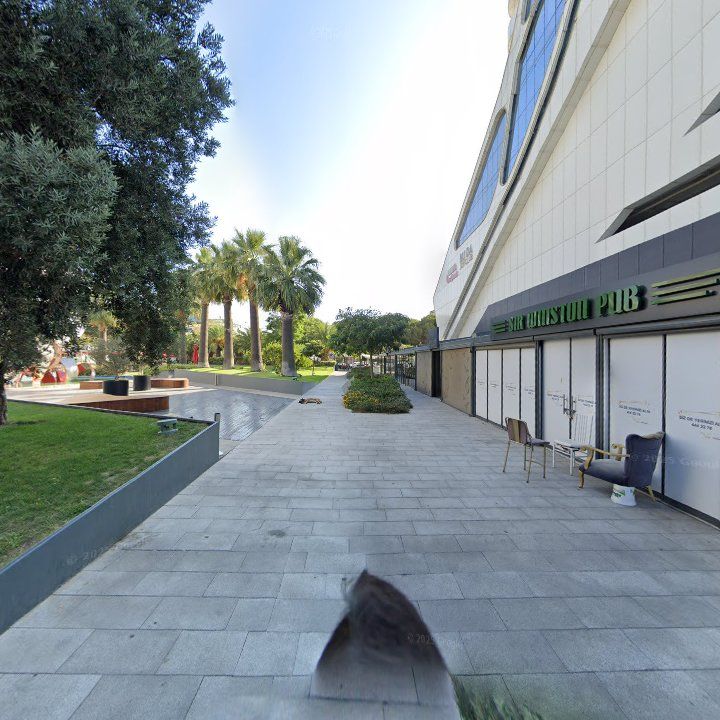 Fotoğraf 9