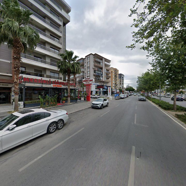 Fotoğraf 12