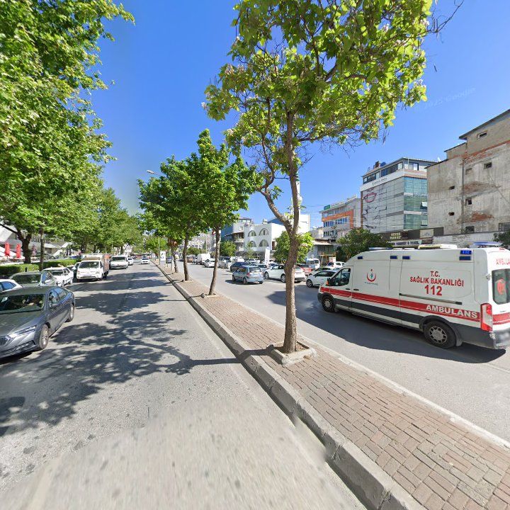 Fotoğraf 9