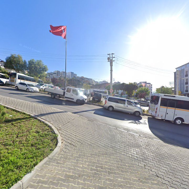 Fotoğraf 7
