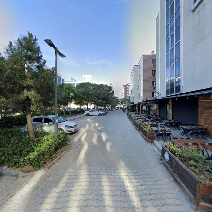 Fotoğraf 10