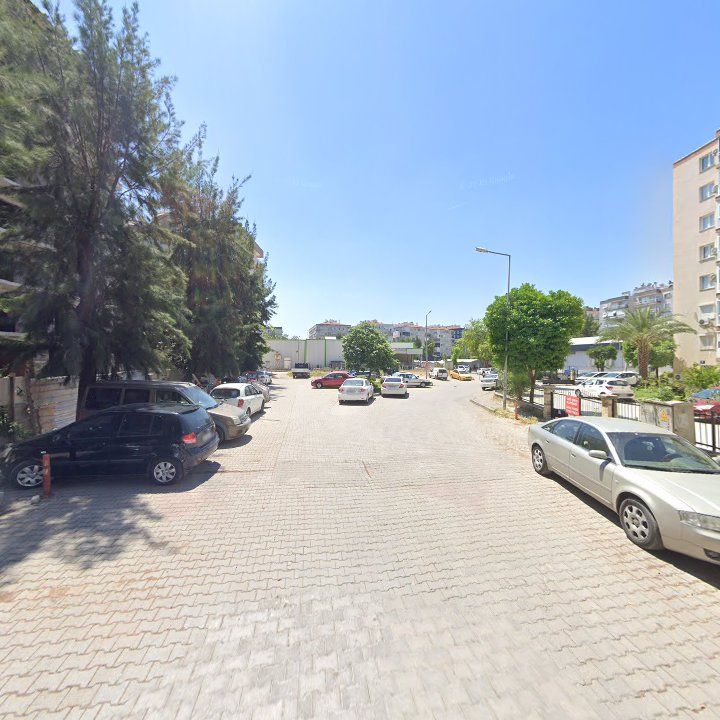 Fotoğraf 6