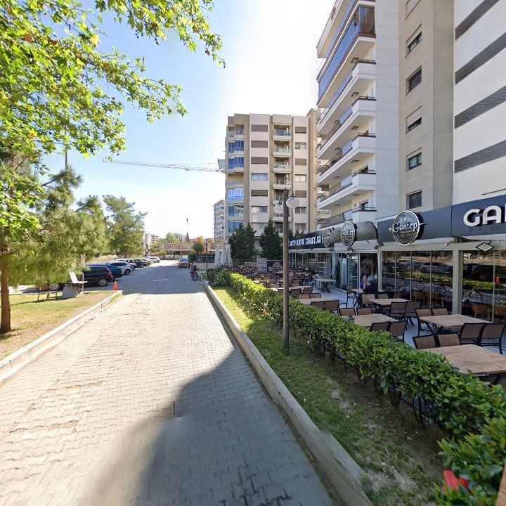 Fotoğraf 15