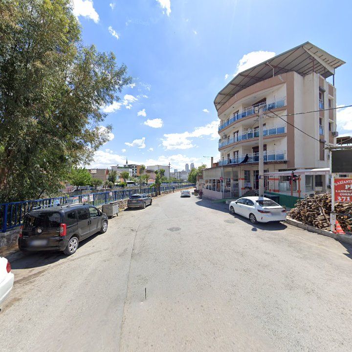 Fotoğraf 9