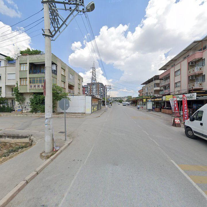 Fotoğraf 7