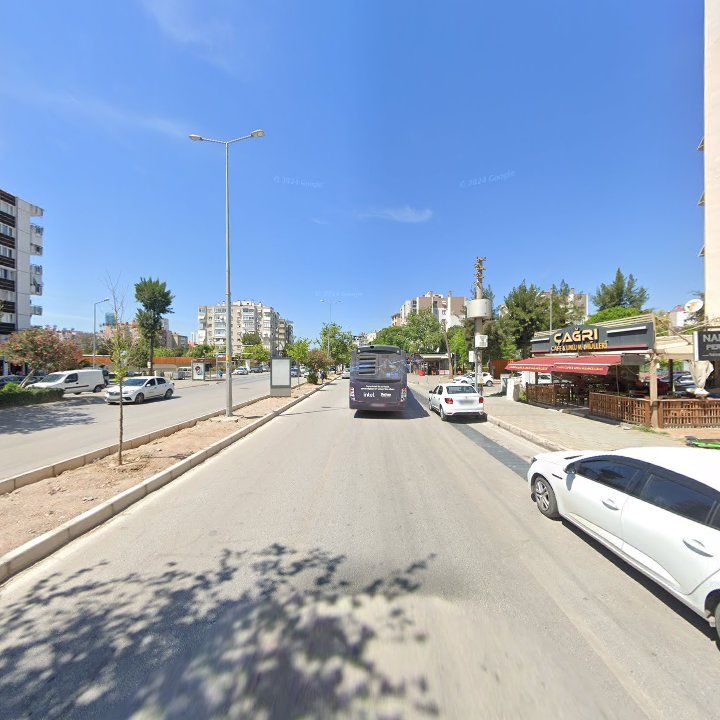 Fotoğraf 10