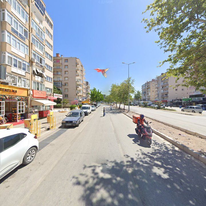Fotoğraf 8