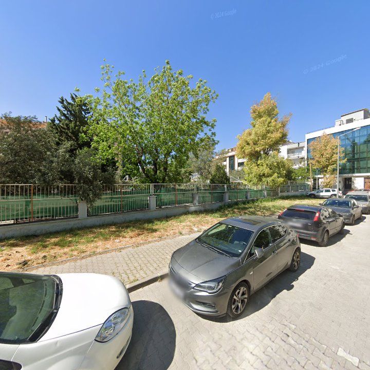 Fotoğraf 12