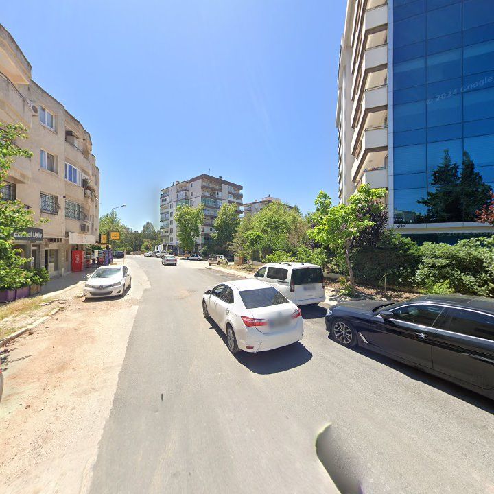 Fotoğraf 10