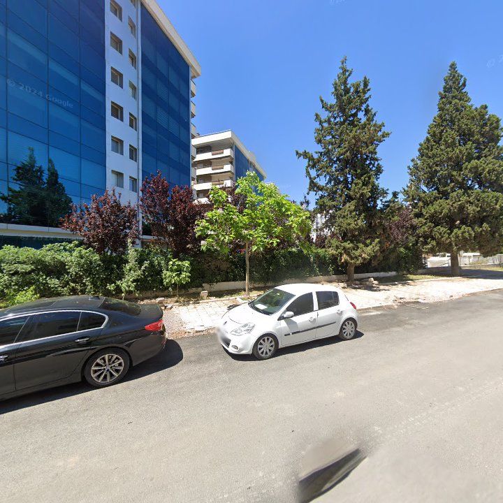 Fotoğraf 11