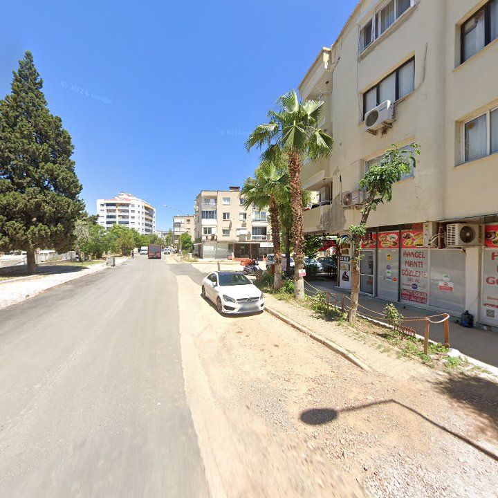 Fotoğraf 12