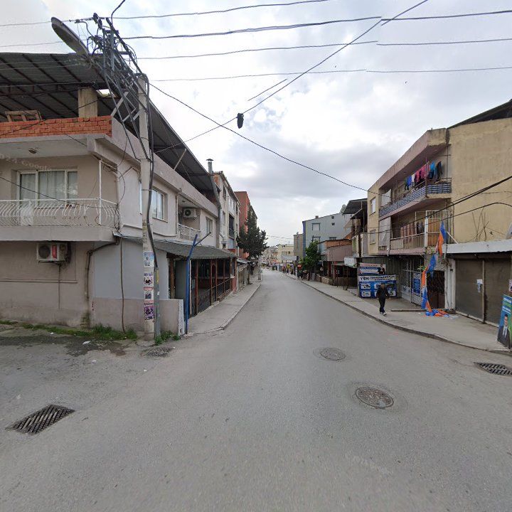 Fotoğraf 6