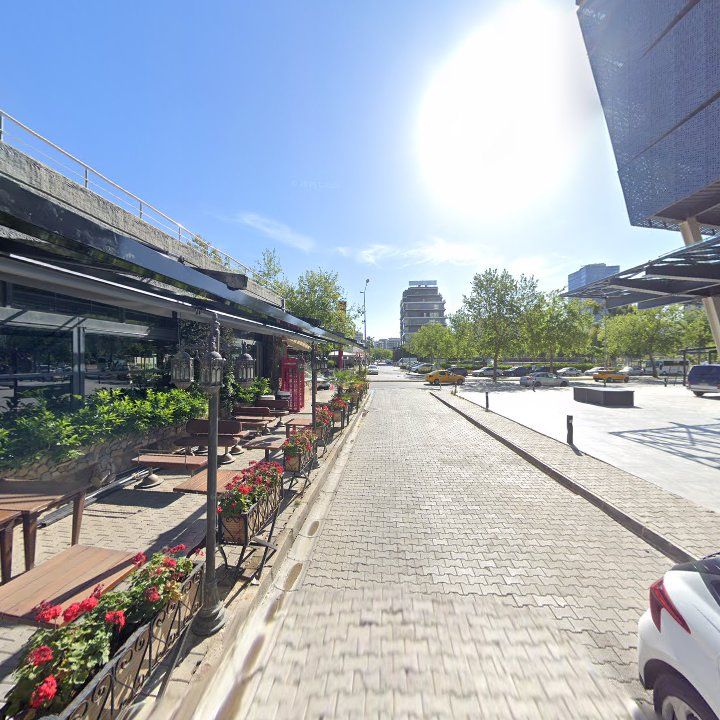 Fotoğraf 7