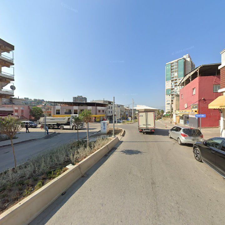 Fotoğraf 8