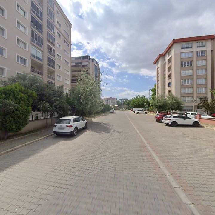 Fotoğraf 11