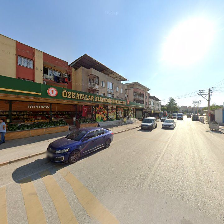 Fotoğraf 10