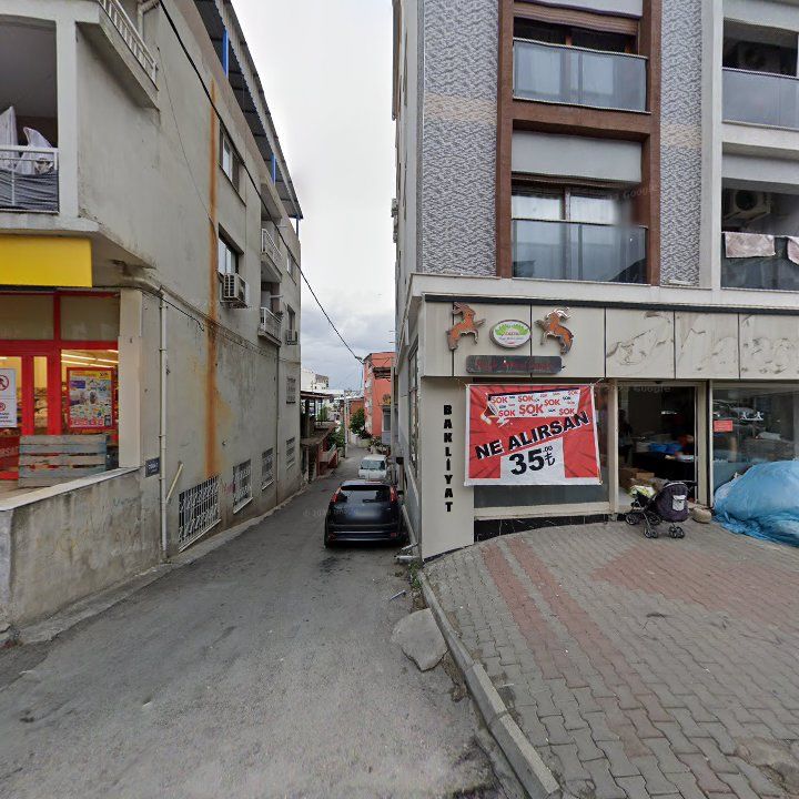 Fotoğraf 3