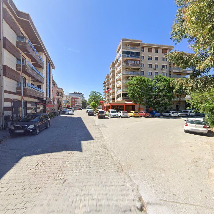 Fotoğraf 8