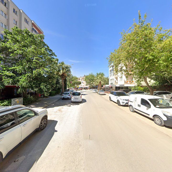 Fotoğraf 11