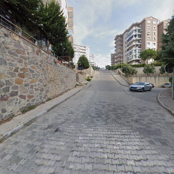 Fotoğraf 9