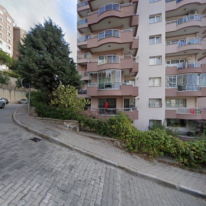 Fotoğraf 10