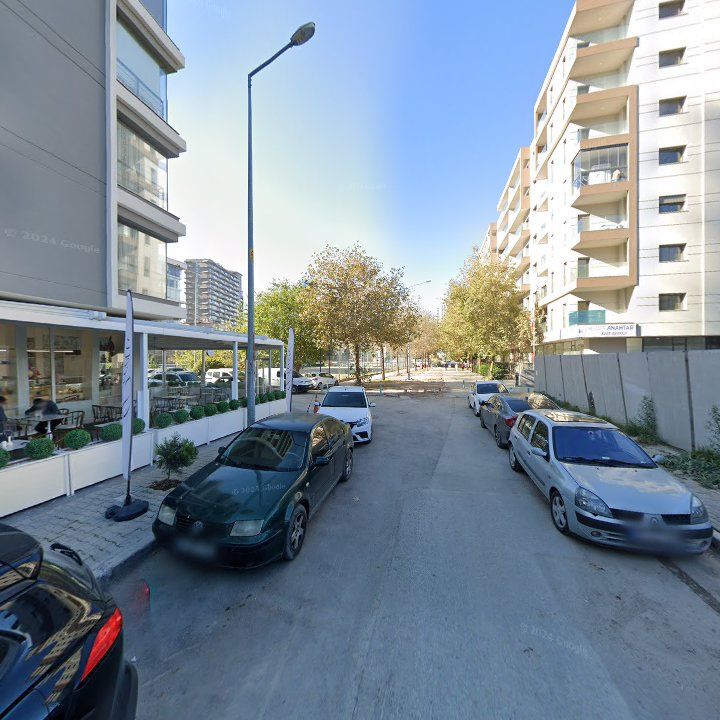Fotoğraf 11