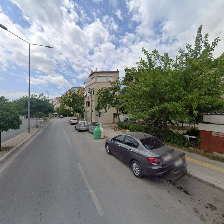 Fotoğraf 10